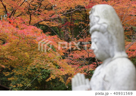 栖賢寺 栖賢寺 40931569