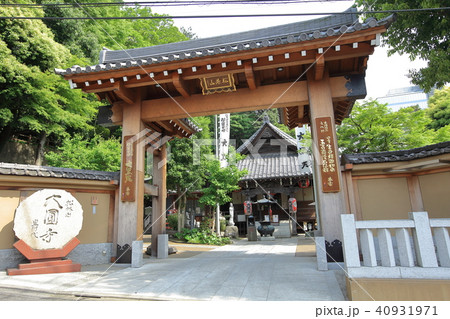 大圓寺(大円寺) 目黒区 大圓寺(大円寺) 目黒区 40931971