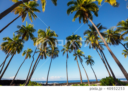 Hawaiian beach 40932253