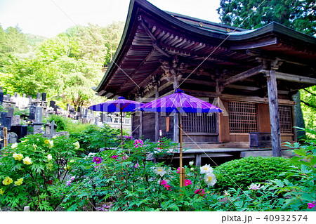牡丹 牡丹寺 牡丹 牡丹寺 40932574