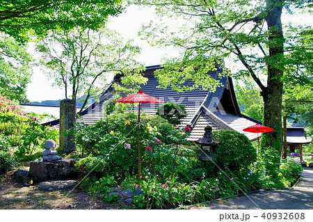 牡丹 牡丹寺 牡丹 牡丹寺 40932608
