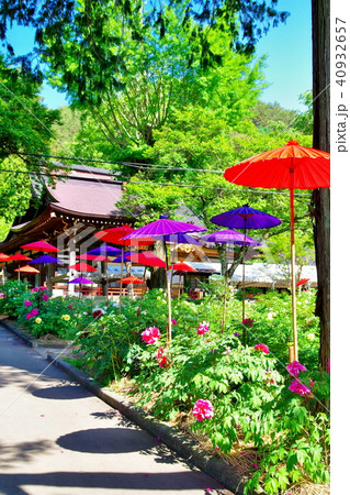 牡丹 牡丹寺 牡丹 牡丹寺 40932657