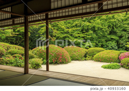 詩仙堂の新緑とさつき 40933160