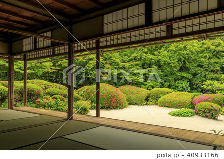 詩仙堂の新緑とさつき 40933166