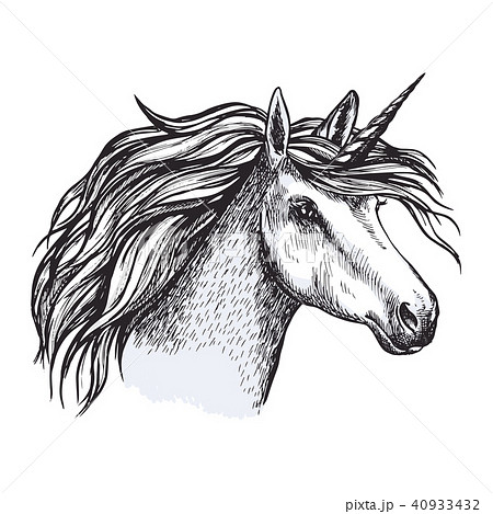 Unicorn horse with horn sketch of magic animal Unicorn horse with horn sketch of magic animal 40933432