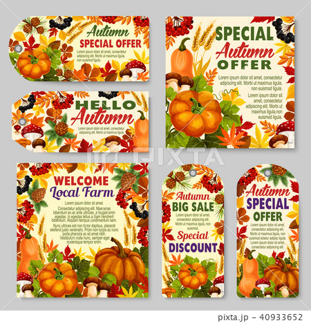 Autumn sale shop or farm market vector discount 40933652