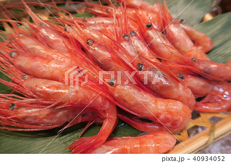 甘えび 甘えび 40934052