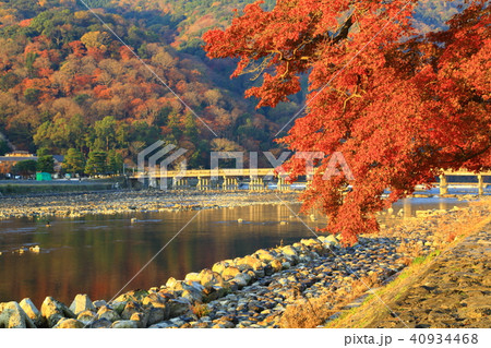 京都 嵐山 紅葉 京都 嵐山 紅葉 40934468