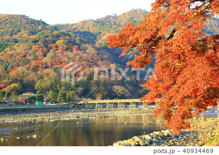 京都 嵐山 紅葉 京都 嵐山 紅葉 40934469