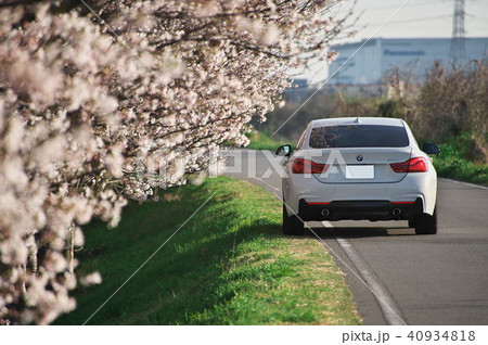 ソメイヨシノとBMW ソメイヨシノとBMW 40934818