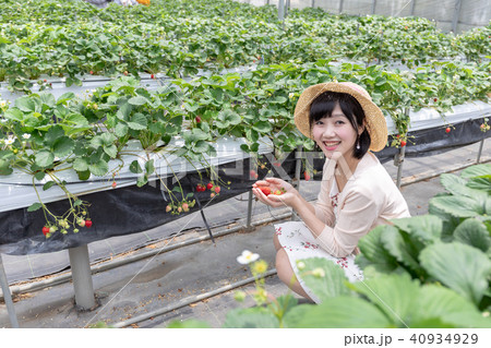 いちご狩りイメージ 女子旅 インスタ映えの写真素材