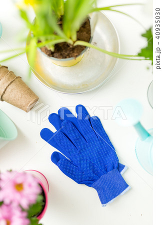 Photo of blue rubber gloves, flowers in pots, watering cans Photo of blue rubber gloves, flowers in pots, watering cans 40935030