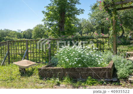 新緑の公園 40935522