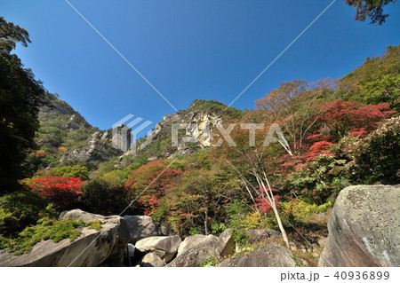 昇仙峡の紅葉 40936899