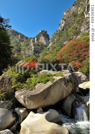 昇仙峡の紅葉 昇仙峡の紅葉 40936901