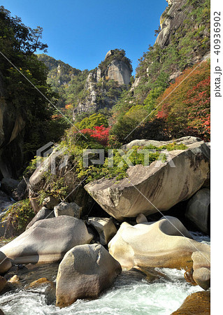 昇仙峡の紅葉 40936902