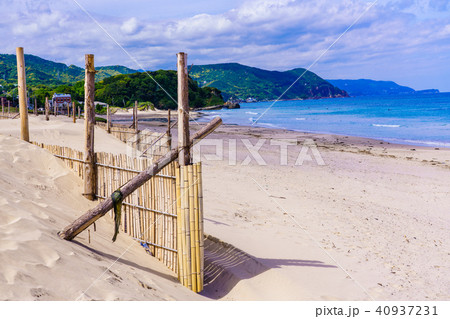 （静岡県）伊豆下田　白浜海岸　ビーチ 40937231