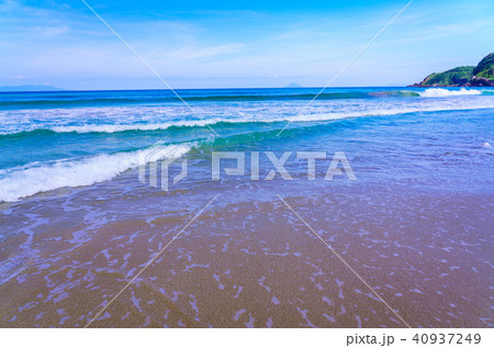 （静岡県）伊豆下田　白浜海岸　ビーチ 40937249