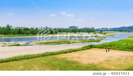 春の多摩川　府中四谷橋付近 40937431