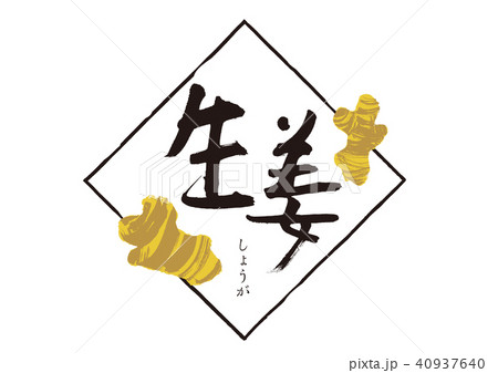 生姜　筆文字 40937640