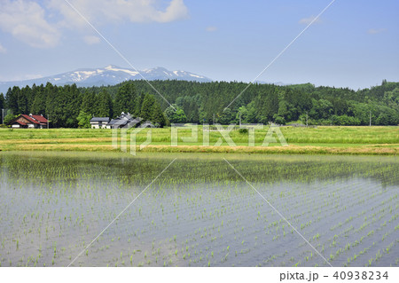 骨寺村荘園遺跡地区と栗駒山 40938234