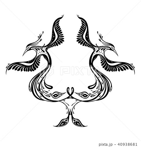Beautiful peacock. Exotic bird Beautiful peacock. Exotic bird 40938681