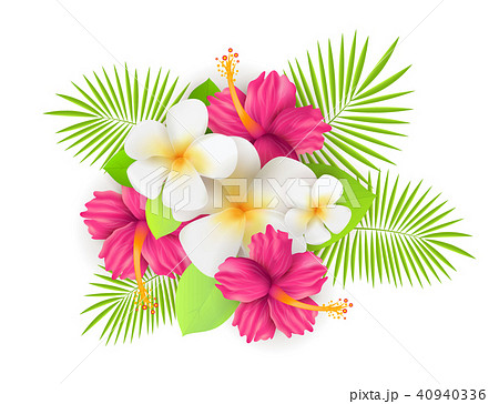 Tropical flowers with leaves Tropical flowers with leaves 40940336