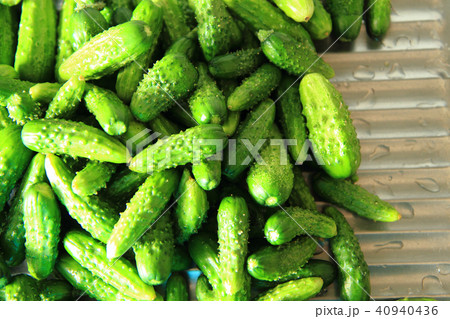 green cucumbers as nice food background 40940436