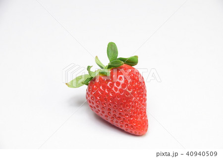 高級いちご 高級いちご 40940509