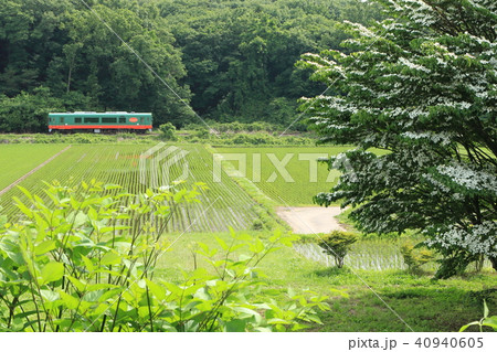 真岡鐵道「5月下旬の山間部田園風景」 40940605