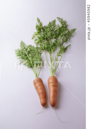 ニンジン 野菜 植物 40940982