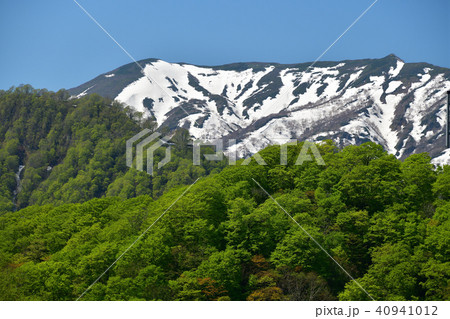 快晴の青空をバックに残雪の遊楽部岳と新緑の山の風景を撮影 40941012
