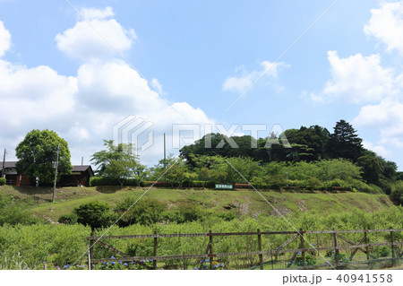 富津市民の森 富津市民の森 40941558