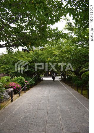 建長寺の山門までの通り 建長寺の山門までの通り 40941917