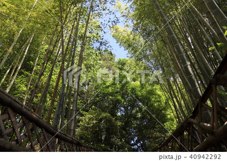 常陸国総社宮 常陸国総社宮 40942292