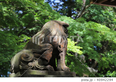 常陸国総社宮    石岡市歴史シリーズ 常陸国総社宮    石岡市歴史シリーズ 40942294