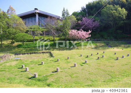 奈良県立万葉文化館 飛鳥池工房遺跡 40942361