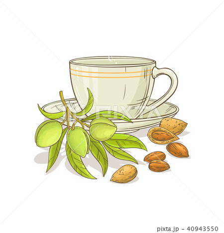 almond tea illustration 40943550