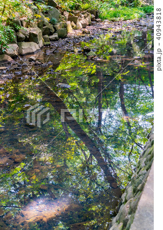 【東京都】等々力渓谷 40943818