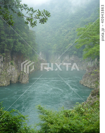 霧の瀞峡　縦 40943863