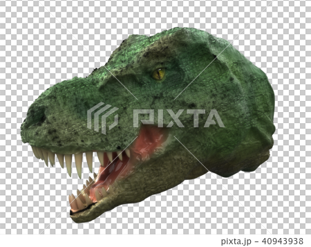 ティラノサウルス ティラノサウルス 40943938