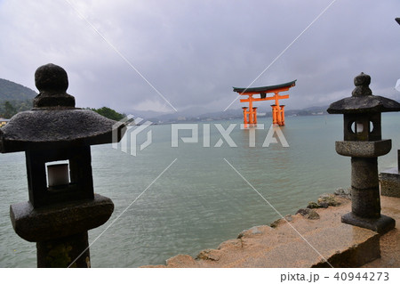 厳島神社 鳥居 厳島神社 鳥居 40944273