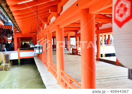 厳島神社　散歩 40944367