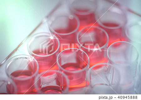 実験 実験 40945888