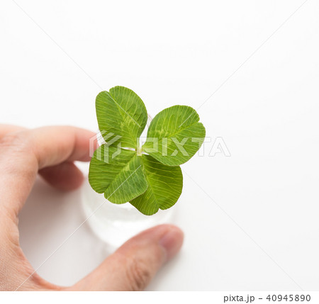 四葉のクローバー 四葉のクローバー 40945890