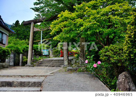 熊野古道・大門坂・入口の鳥居(5) 熊野古道・大門坂・入口の鳥居(5) 40946965