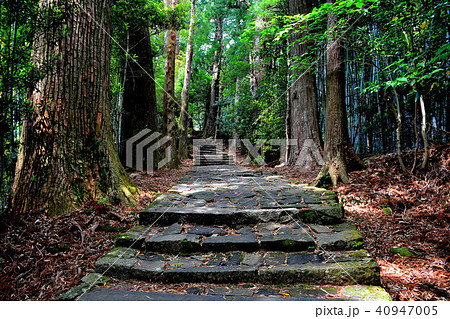 熊野古道・大門坂・苔蒸した石畳を行く(1) 熊野古道・大門坂・苔蒸した石畳を行く(1) 40947005