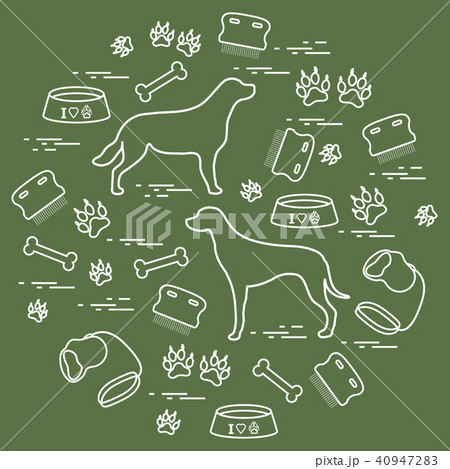 Cute vector illustration goods to care for dogs Cute vector illustration goods to care for dogs 40947283