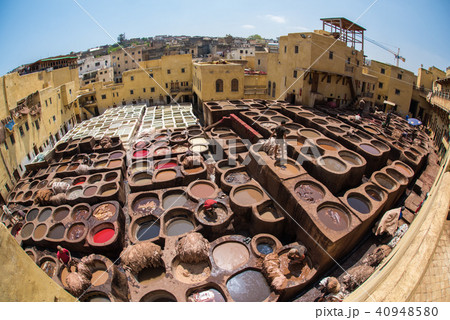 モロッコ　フェズの皮なめし工場(タンネリ) 40948580
