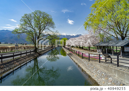 春の安曇野 拾ヶ堰と北アルプス 長野県安曇野市 春の安曇野 拾ヶ堰と北アルプス 長野県安曇野市 40949255
